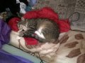 WP_20160709_003.jpg